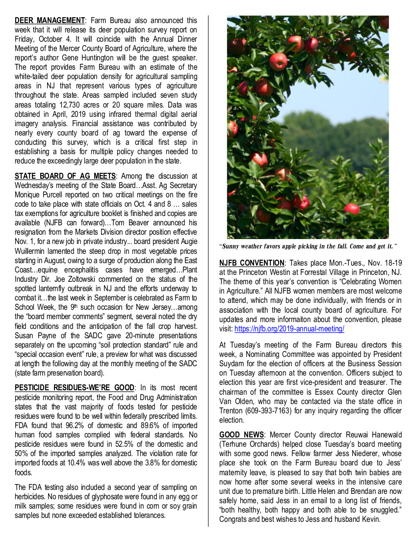 Newsletter Page 2